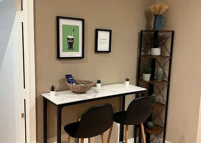 Modern 2 Bedroom 2 Bathroom Newly Renovated Apartman Dublin